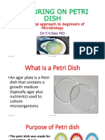Culturing On Petri Dish: A Practical Approach To Beginners of Microbiology