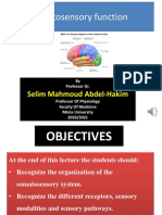 5-_20-_Somatosensory_function