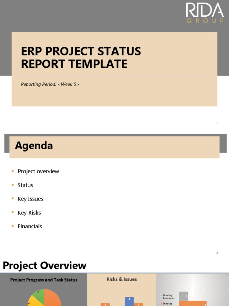 ERP Project Status Report Template | PDF | Risk | Business
