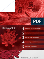 Anemia Kel.2