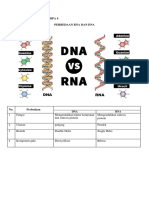  MIPA 4 Perbedaan DNA RNA