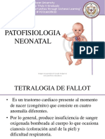 Patofisiologia Neonatal