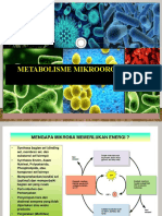 Metabolisme Mikroorganisme