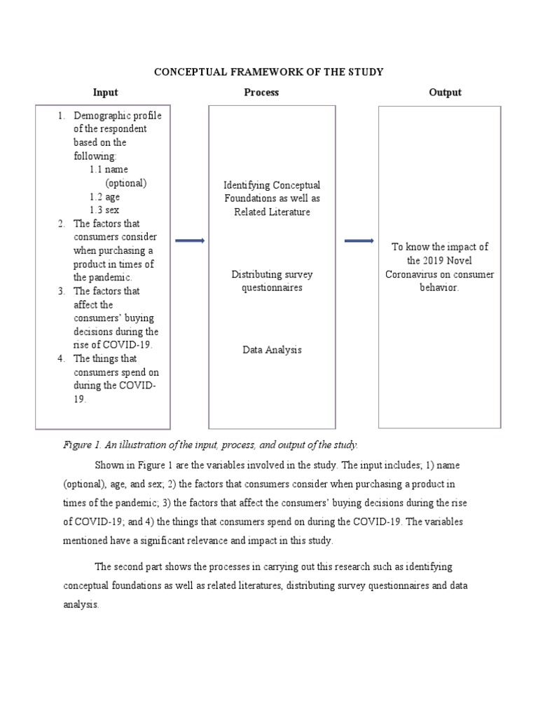 Conceptual Framework of The Study Input Process Output | PDF | Survey ...