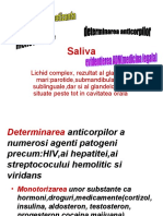 Saliva1