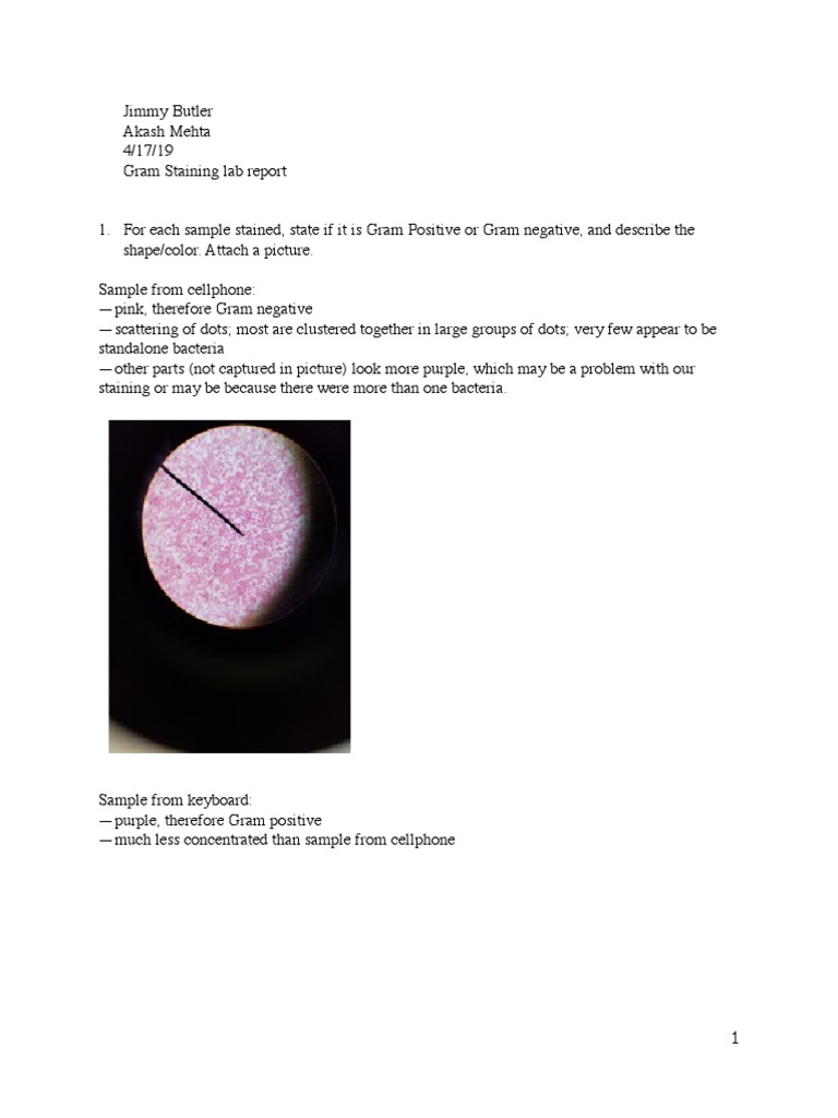 Gram Staining Lab Report PDF Staining Bacteria