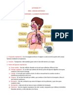 ACTIVIDAD # 7 - El Aparato Respiratorio