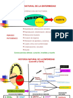 Factores interacción enfermedad