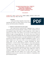 Sandy Silva Fichamento Acesso À Justiça.