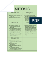 Mitosis: Interphase Metaphase