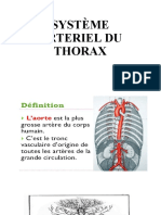 Systeme Arteriel Du Thorax Aorte Thoracique Uie
