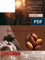 Presentación de Proyecto Productora y X de Café y Cacao Grupo 1