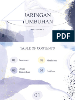 Jaringan Tumbuhan