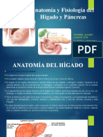 PW Anatomia y Fisiología de Higado y Pancreas