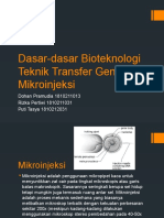 Bioteknologi (Mikroinjeksi) - Kelompok 5
