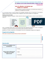 5to - 6to - Act 1 - 1.3 Conozco Los Alimentos y Las Funciones...