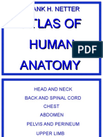 Netter Atlas of Human Anatomy