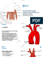 NewFix Sistem Peredaran Darah Pada Pembuluh Darah Utama