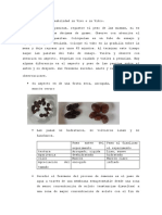 Biologia Informe 7