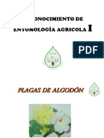 Reconocimiento de Plagas en Algodon, Gramineas, Tropicales