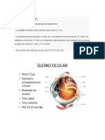 Globo Ocular