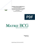 Matriz BCG-Javier Jaime