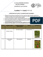 Taxonomía de Las Plantas