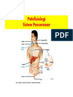 TM 4 Patofisiologi S. Pencernaan