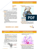 09R-T10-TRAUMATO-lesiones_traumaticas_de_muneca_y_mano