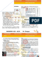 10R_T13-TRAUMATOLOGIA-TRAUMA_DE_RAQUIS_DR.CHOQUE_