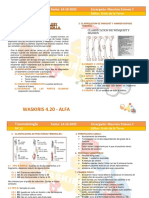 10R T11 TRAUMATOLOGIA Lesiones Traumaticas de Rodilla y Pierna