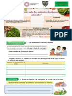 Hipòtesis: ¿Qué Nutrientes Contienen Los Alimentos Que Consumimos en Familia?