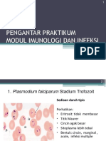 Pr2. Parasitologi