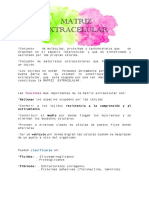 Matriz Extracelular