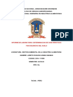 Determinacion de Analisis de Suello