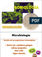 Diversidad y Clasificcacion