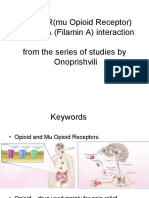 MOR and FLNA Interaction Regulated Receptor Trafficking