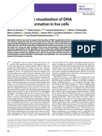 Single-Molecule Visualization of DNA G-Quadruplex Formation in Live Cells