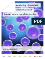 AN-Metabolic Activity During MSC Differentiation