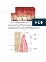 Definisi Gingiva