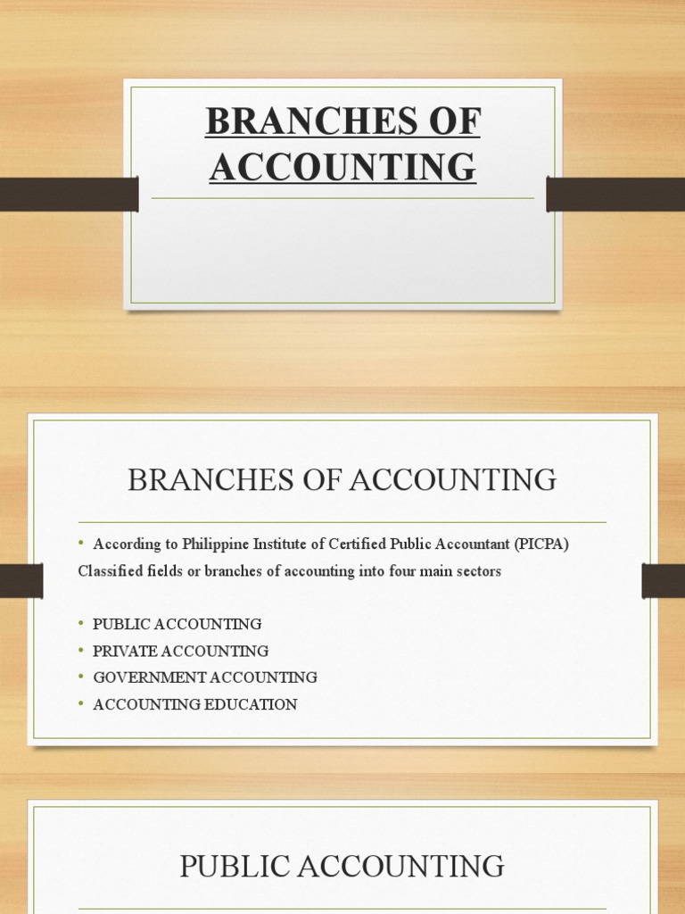 Branches of Accounting Public and Private PDF