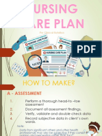 Nursing Care Plan - PPT Handout