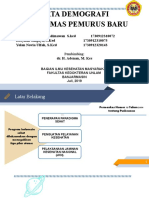 DEMOGRAFI Puskesmas Pemurus Baru