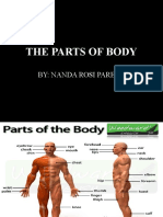 The Parts of Body