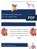 aula5-anatomiaii-sistemacardiovascularelinfatico-fama-190405012214