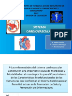 Sistema Cardiovascular