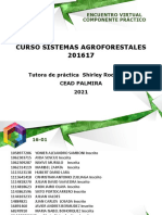 PRESENTACIÓN PRÁCTICA GUIA ALTERNA SISTEMAS AGROFORESTALES