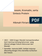 Gen Kromatin Dan Kromosom Dan Sintesis Protein