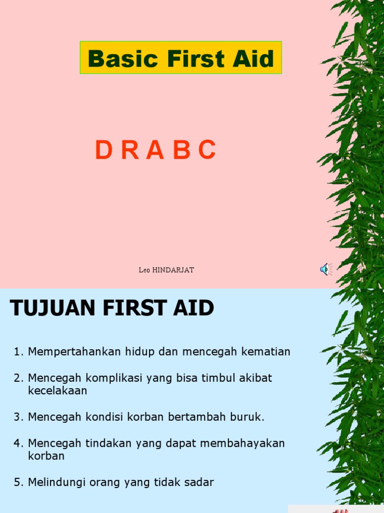 Basic First Aid PDF