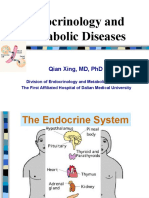 Endocrinology and Metabolic Diseases: Qian Xing, MD, PHD